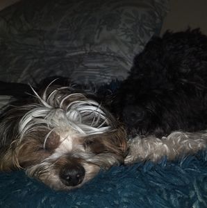 Meet your Posher, Lorna